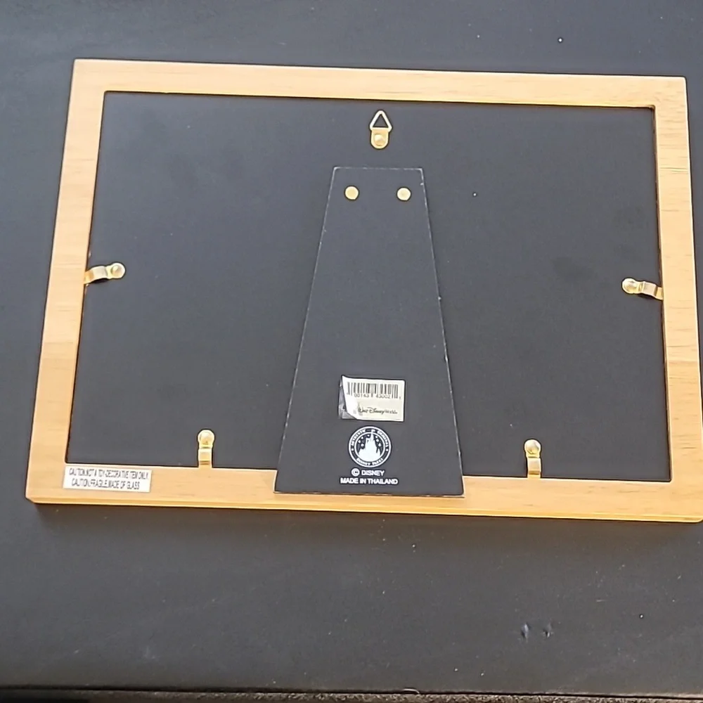 Disney Memories Picture Frame